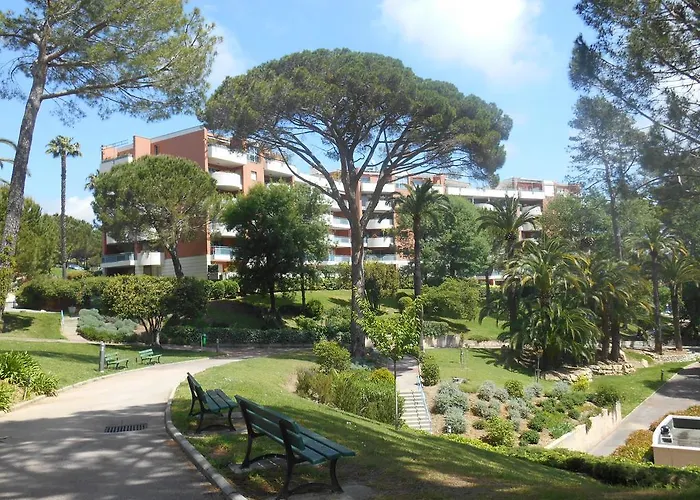Les Palmiers - Cote D'azur カンヌ