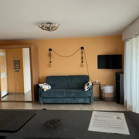 Les Palmiers - Cote D'azur