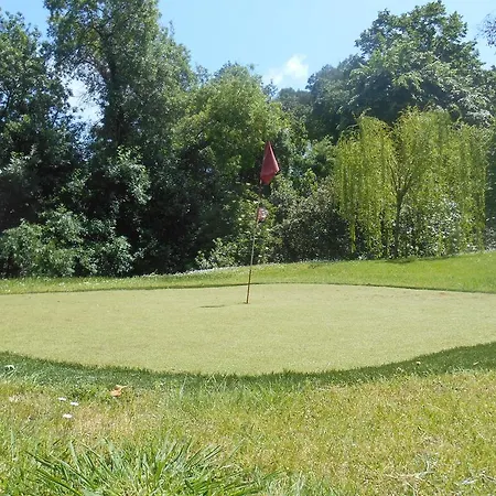 Апартаменты Les Palmiers - Cote D'azur *